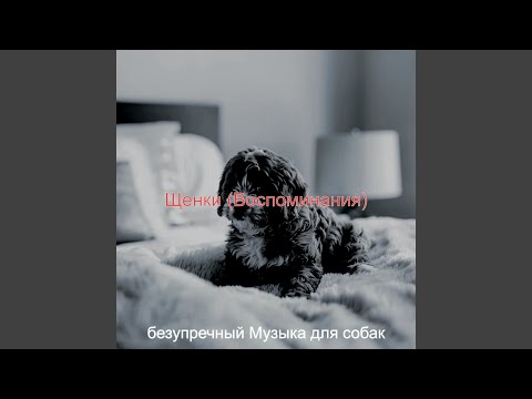 безупречный Музыка для собак - Звуки (Собаки)