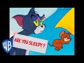 Tom y Jerry en Latino | ¡La primavera es sinónimo de dormir la siesta! | WB Kids