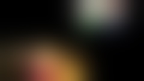 Pathfinder: Intraoperative Navigation