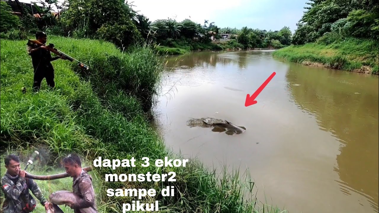 maser reaksi,poin ikan patin bobot -+16 kilo, bersama @natainfluencer