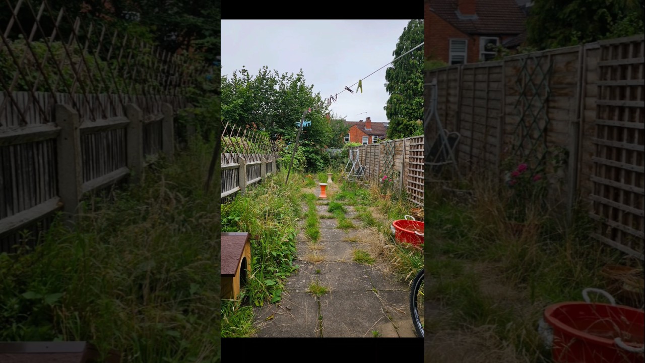 Pray for my back🙏 