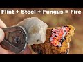 Flint + Steel + Fungus = Fire. Using Chaga Fungus and a Scottish Snail Steel / Flint Fire Kit.