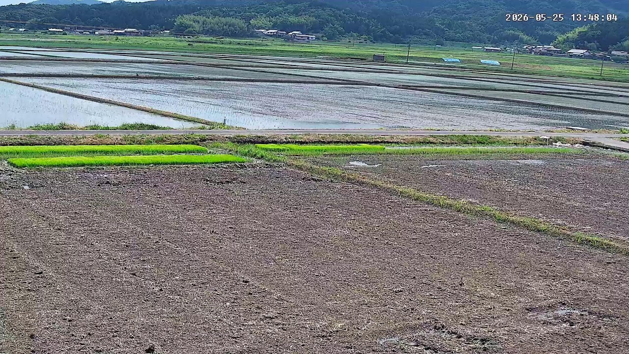 島根の田んぼ】田んぼの様子をライブ配信中！24時間いつでも確認でき