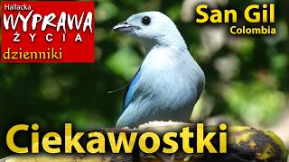 Ciekawostki i informacje z Kolumbii
