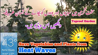 How to Protect Plants and Vegetables in Hot Summer