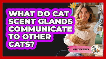 What Do Cat Scent Glands Communicate To Other Cats? - Happy Cat Handbook