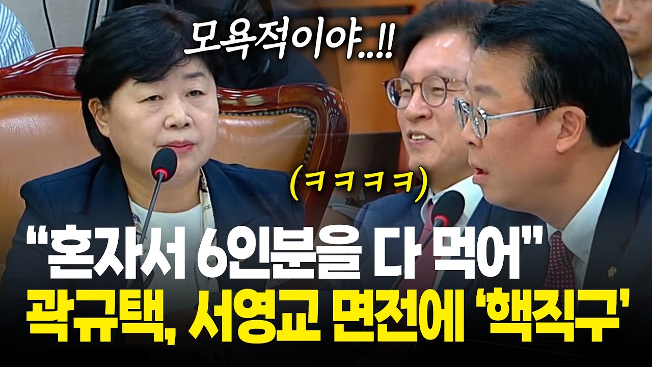 서영교 면전서 핵직구 날린 곽규택, "혼자서 6인분을 다 먹어" / 2026년 국정감사 법사위