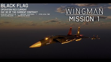 Project Wingman: Campaign Mission 1 | BLACK FLAG | MERCENARY | 4K60