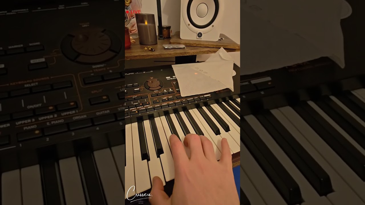 #V734 🪗🚦Doamne-n viață-s mulțumit! 