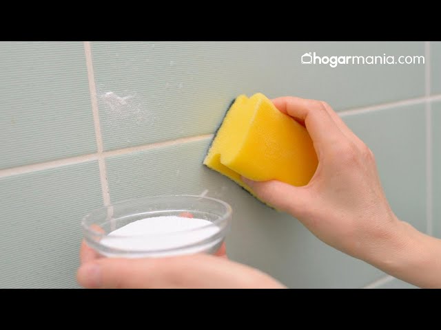 Cómo limpiar el moho en la ducha y las paredes del baño? - Teza Clean