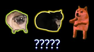 7 "Maxwell Cat and Pug and Doge Dance Sound Variations In 56 Sec  Сompetition sound variations