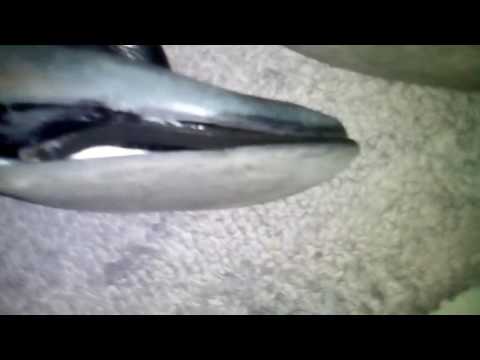 Job well done
