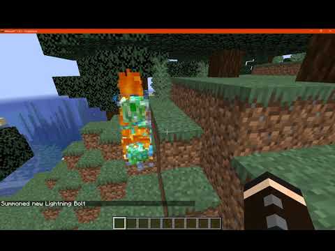 Player Head Drop 1.16.1 Forge Mod Overview