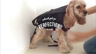 8r38 犬用抱っこ紐