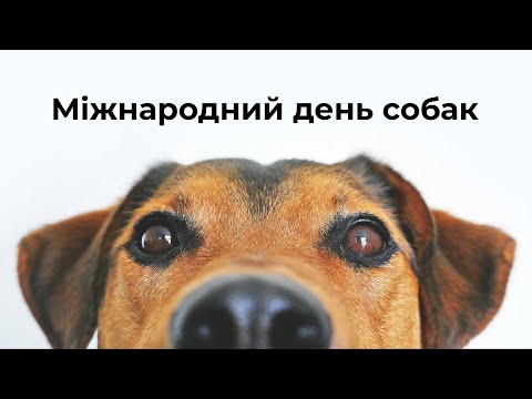 Міжнародний день собак 🐾 Свято наших вірних друзів
