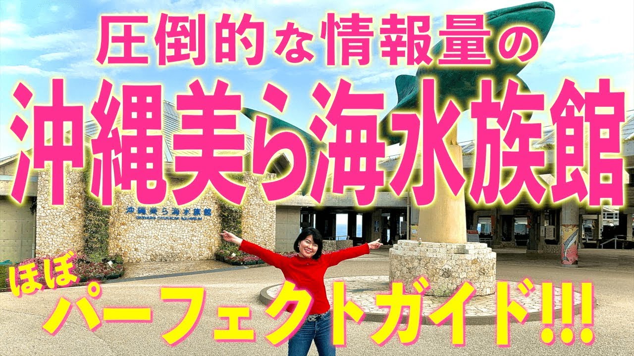 【沖縄美ら海水族館①】徹底取材！沖縄美ら海水族館を圧倒的な情報量でガイドします！ジンベエザメの飼育にも密着！！〈PR〉【沖縄観光/本部】