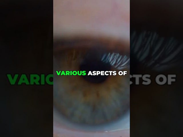 Essential Supplements for Eye Wellness #shorts