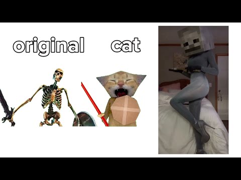 Skeleton banging shield VS Cat VS 😳