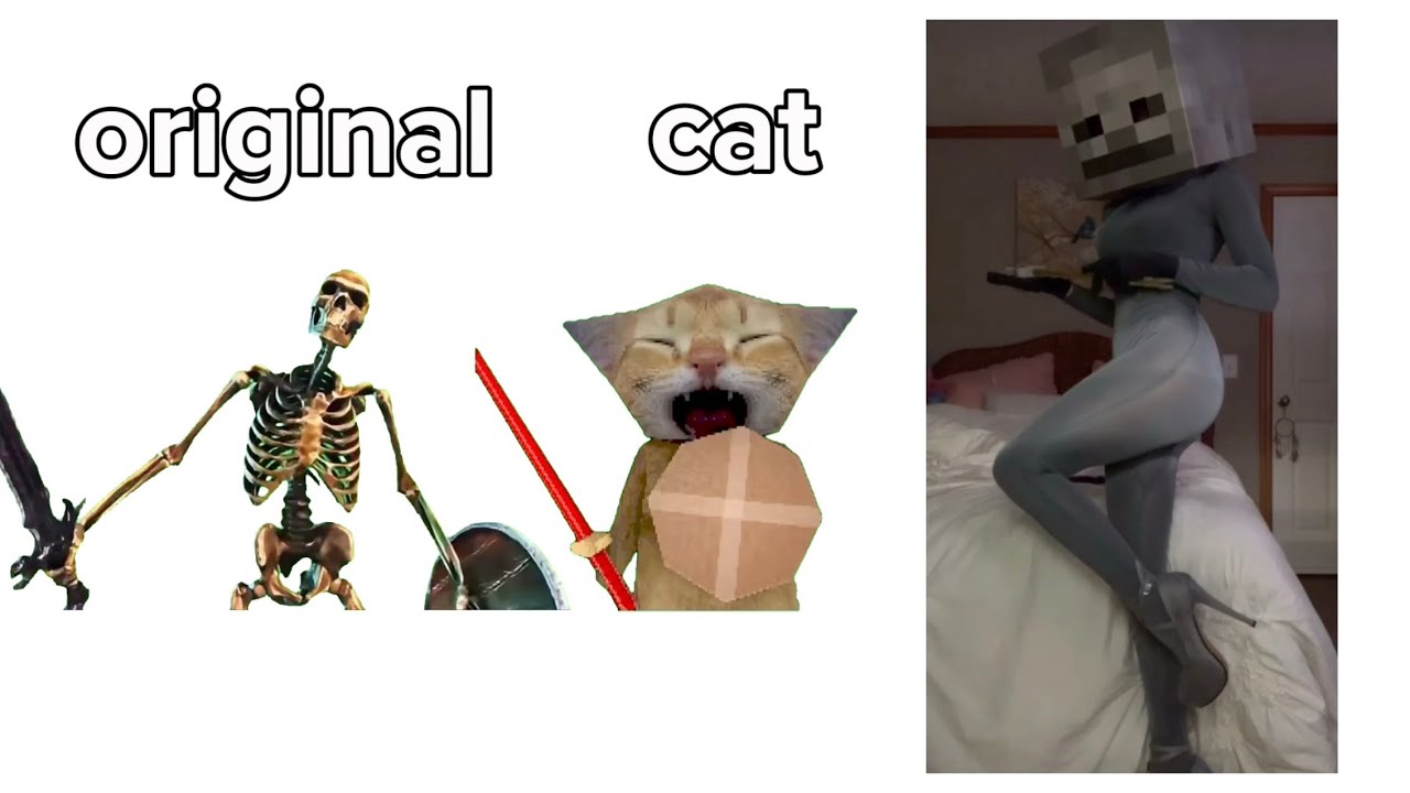 Skeleton banging shield VS Cat VS 😳