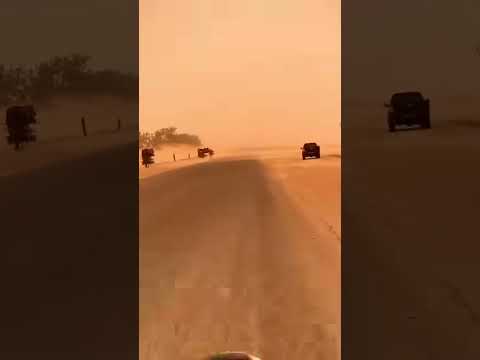 نسمة عادية في توزر