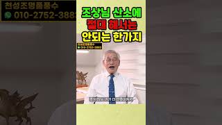 조상 산소에 절대 해서는 안되는 한가지 #풍수 #풍수지리 #복