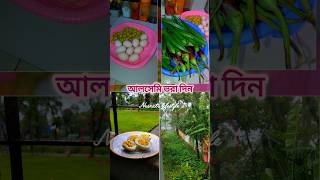 আলসেমি ভরা দিনগুলো। #dailylife #lifestylevlog #lifestyle #homevlog