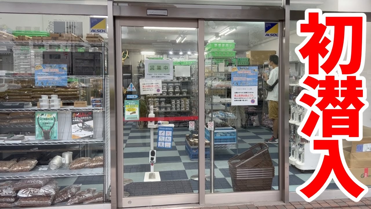 仙台の昆虫ショップで初めてお買い物してみた