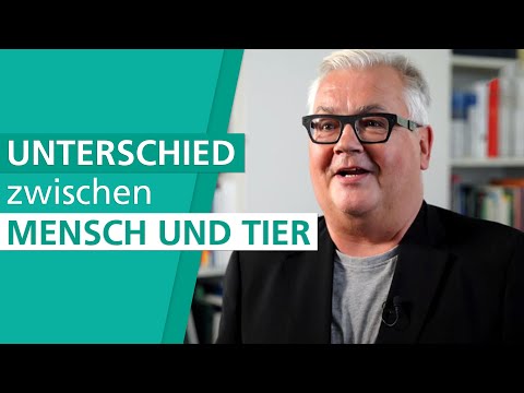 Video: Können Menschen Winterschlaf h alten?