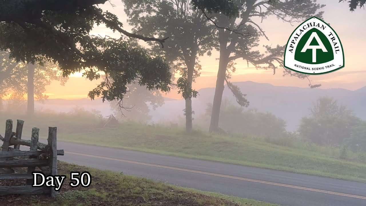 Day 50 | Bobletts & Bees | Appalachian Trail Thru Hike 2025