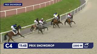 Vidéo de la course PMU PRIX SNOWDROP