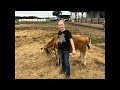 Emmi’s 4H Dairy Project 2025