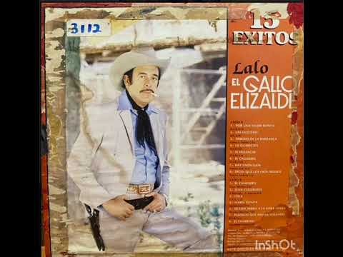 Lalo el Gallo Elizalde - Por Una Mujer Bonita
