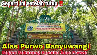 SEMPAT DI TUTUP!! Begini kondisi Alas Purwo Banyuwangi sekarang