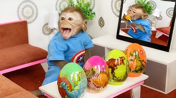 Monkey Baby BenBen playing with colorful eggs and eating lollipops