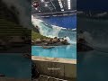 🌋 Hollywood Created a Real Volcano Instead of CGI! 😱 #shorts