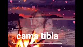 cama tibia, letra -los Yonic's