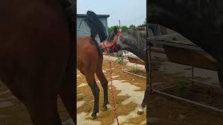 Who you are, what you want to be as a youth Net Worth