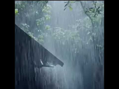 1 Menit Suara Hujan dan Badai Petir untuk Fokus, Relaksasi, dan Tidur ⛈️ Epidemi ASMR