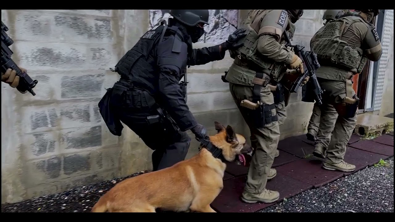 Unidade de Intervenção da GNR