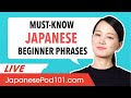 Must-Know Beginner Phrases: "How do you say that?" in Japanese