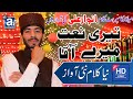 Anwar ali latest naat 2020 brand new kalam  teri naat mere aqa  rabi ul awal super hit naat