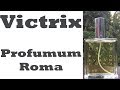 Victrix Profumum Roma Fragrance Review