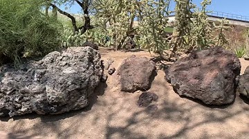 Visiting Ethel M Botanical Cactus Garden in Nevada