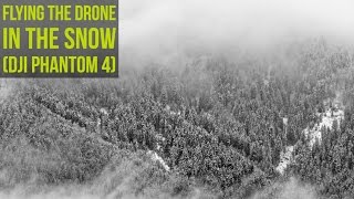 Flying In The Snow (DJI Phantom4)