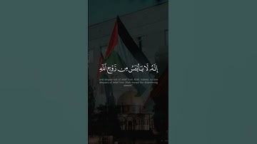 ﴿ ولا تيأسوا من روح الله ﴾ القارئ #عبدالله_الموسى