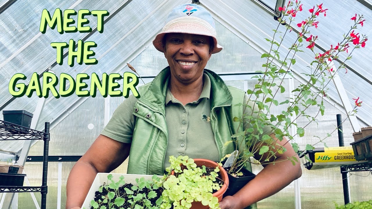 Your Friendly Neighbourhood Garden Design Expert