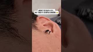 Almost had him there for a second 🥺