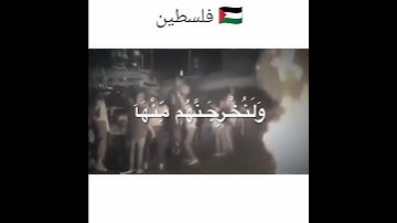 القرآن الكريم أرجع أليهم فلسطين غزة #القرآن_الكريم #فلسطين #غزة