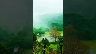 Keep calm and love rainy days.🌴🌿🌱🍀❤️💧🌧