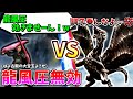 【MHXX】大宝玉の為に龍風圧無効化してクシャルダオラと戦った結果…【ゆっくり実況】